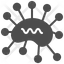 Bacteria