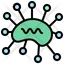 Bacteria