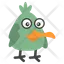 oiseau en colère