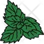 peppermint