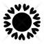 sol