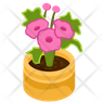 allamanda flower logo