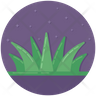 evergreen icon
