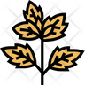 icons of basil leaf