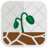 bean sprout icon