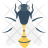 queen-bee icon