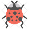 beetle car icon