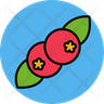 red berries icon