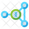 icon biological network