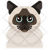 icon for birman cat