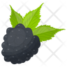 black raspberry icon png