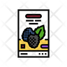 wild berry icon download