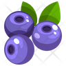 free blueberry icons