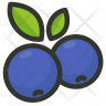 icon blueberry