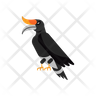 borneo hornbill icon
