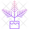 boston fern plant symbol