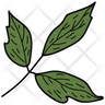 box elder leaf logos