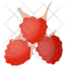 free boysenberry icons