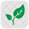 icons for bud leaves