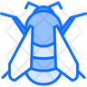 bumble bee icon png