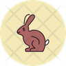 icon bunny