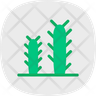 icons for cactus