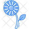 calendula icon download
