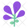calypso orchid symbol