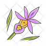 free calypso orchid icons