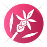 calypso orchid icon svg