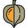 cape gooseberry icon