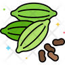 icons for cardamom