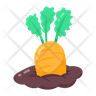carrot crate icon