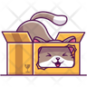 icons for cat in box