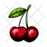 sour-cherry icon svg