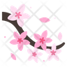 cherry blossom icon download