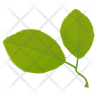 cherry leaves icon svg