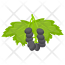 icon for chokeberry