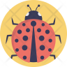 icons of coccinellidae