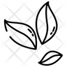 coca leaf icon svg