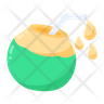 icon for dry coconut