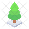 icon evergreen