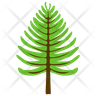 coniferous tree emoji