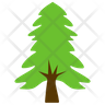 icon for coniferous tree