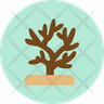 coral icon png