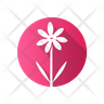 icon chamomile flower