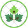 cilantro symbol