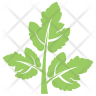 icon for cilantro