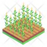 corn field icon png