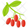 cranberry juice icon